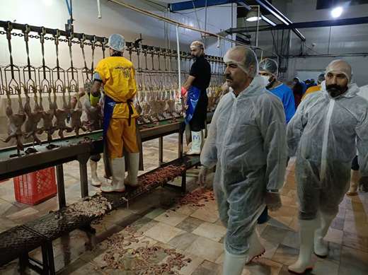 نظارت بر روند فعالیت کشتارگاه طیور شهرستان قروه با حضور مدیرکل دامپزشکی استان کردستان