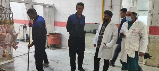 بازدید سرزده مسئول دفتر نمایندگی ولی فقیه در دامپزشکی کردستان از کشتارگاه مرغ شهرستان دهگلان