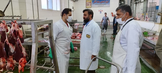 بازدید مسئول دفتر نمایندگی ولی فقیه در دامپزشکی کردستان از کشتارگاه دام سنندج