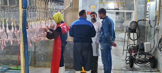 بازدید سرزده مسئول دفتر نمایندگی ولی فقیه در دامپزشکی کردستان، سرپرست حوزه نمایندگی ولی فقیه سازمان جهادکشاورزی، روسای جهاد کشاورزی و دامپزشکی سقز از کشتارگاه طیور این شهرستان