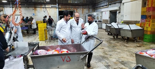 بازدید سرزده مسئول دفتر نمایندگی ولی فقیه در دامپزشکی کردستان  و رئیس شبکه دامپزشکی شهرستان سنندج از کشتارگاه صنعتی مرغ پر