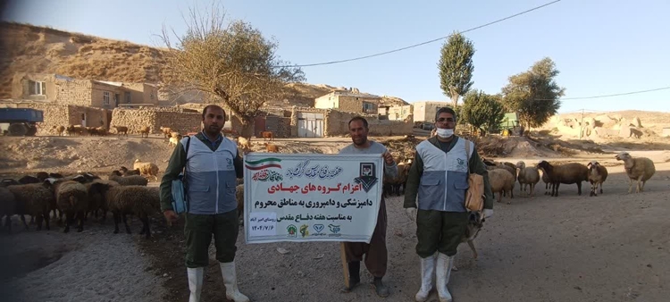 برگزاری اردوی جهادی دامپزشکی به مناسبت هفته دفاع مقدس در روستای امیرآباد شهرستان دهگلان