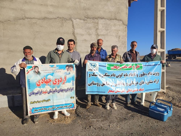 ارائه خدمات رایگان دامپزشکی به دامداران چهار روستای شهرستان بیجار در قالب اردوی جهادی