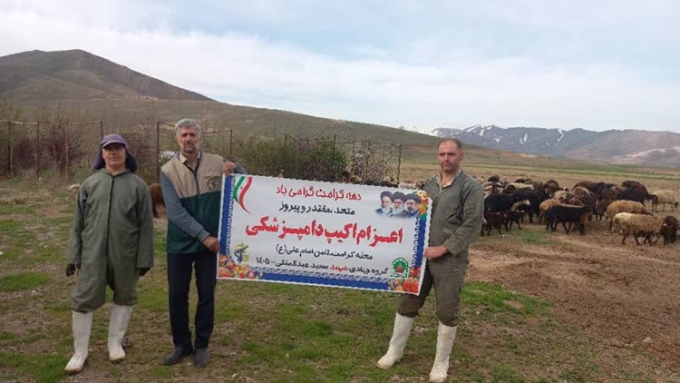 خدمات رایگان دامپزشکی در ناحیه منفصل شهری قلعه قروه به مناسبت دهه کرامت